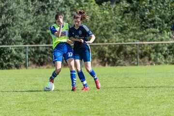 Bild 49 - B-Juniorinnen VfL Pinneberg - HSV : Ergebnis: 1:4